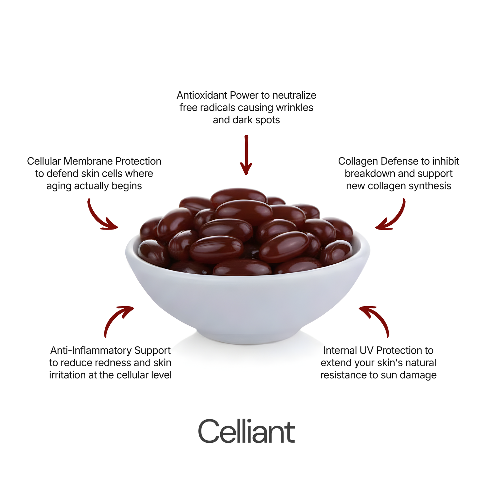 Modern Skincare Leaves