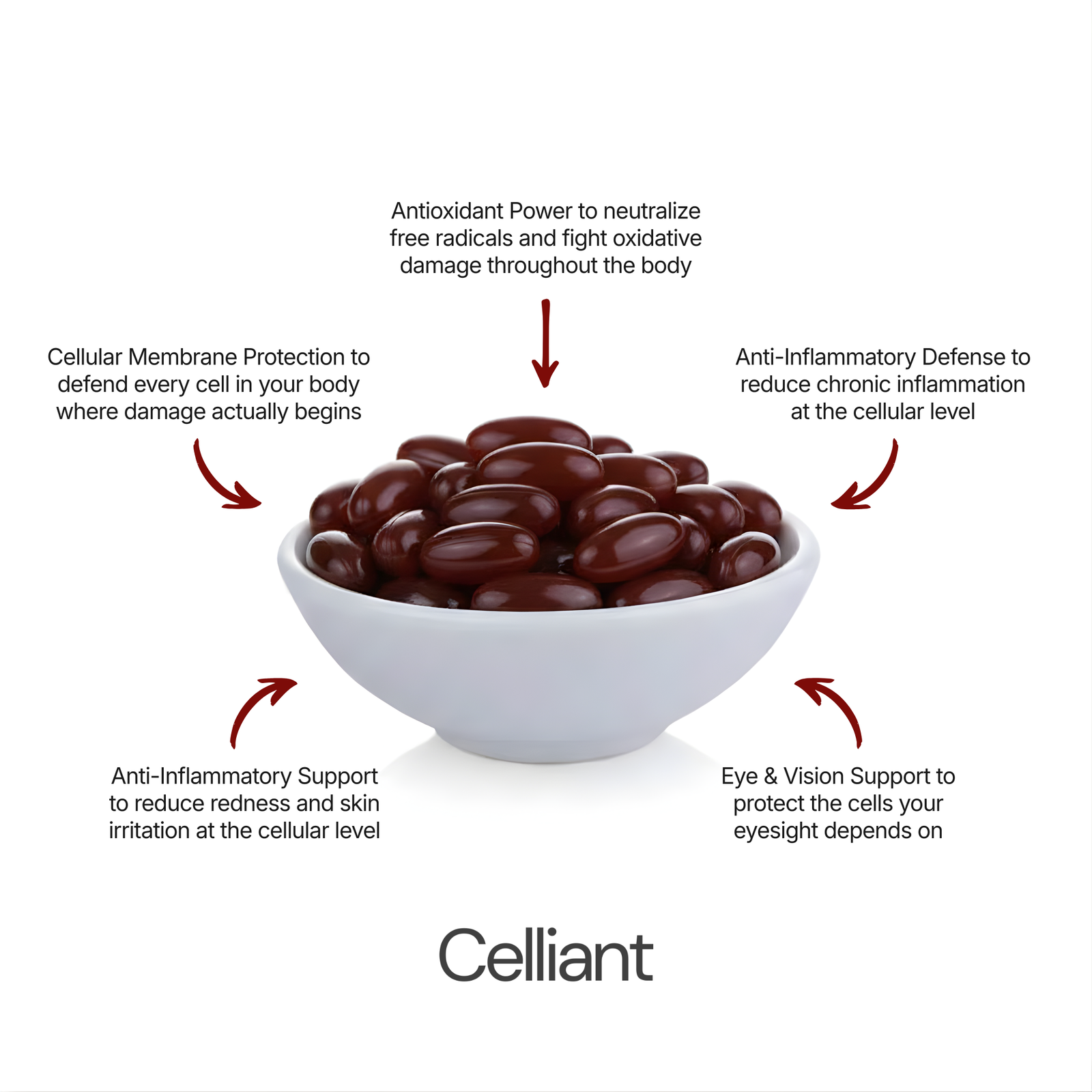 Modern Supplements Leave Your